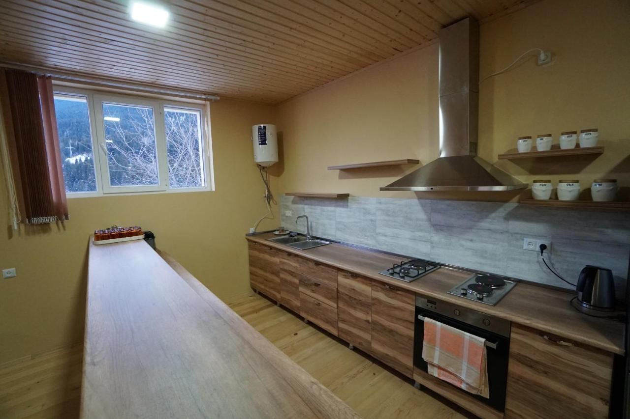 Отель Mestia Hotel Residence Местиа-23